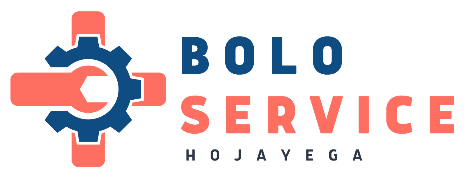 BOLO SERVICE Logo